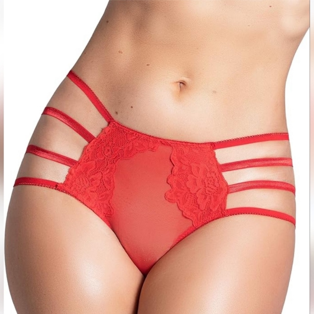 ⭐Yandy Red Applique Mesh Panty With Strappy Sides Cheeky Cut Back Size L NWOT